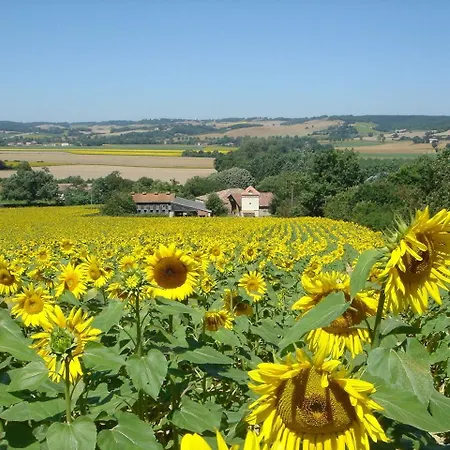 La Grande Maison De Migou Holiday home
