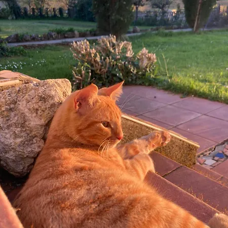 La Grande Maison De Migou Casa vacanze