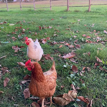 Casa vacanze La Grande Maison De Migou Larrazet
