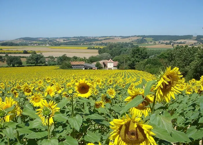 La Grande Maison De Migou Vakantiehuis
