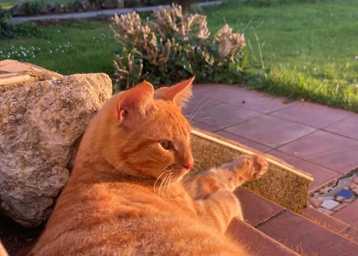 La Grande Maison De Migou Vakantiehuis